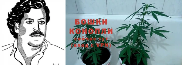 стафф Нея