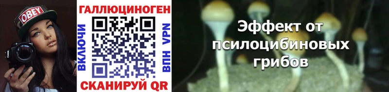 Псилоцибиновые грибы Psilocybe  Остров 